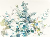 Eucalyptus I Fine Art Print