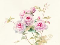 Sweet Roses Fine Art Print