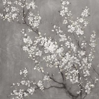 White Cherry Blossoms II on Grey Crop Fine Art Print