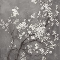 White Cherry Blossoms I on Grey Crop Fine Art Print