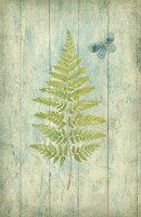 Natural Floral XIII Butterfly Fine Art Print