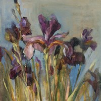 Spring Iris I Fine Art Print