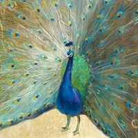 Blue Peacock Cream Fine Art Print