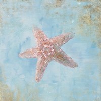 Treasures from the Sea IV Watercolor Framed Print