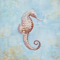 Treasures from the Sea I Watercolor Framed Print