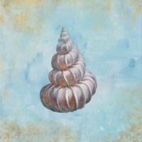 Treasures from the Sea II Watercolor Framed Print