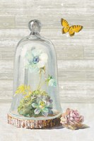 Succulent Garden II Panel Fine Art Print