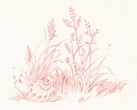 Farm Nostalgia Flowers VII Fine Art Print