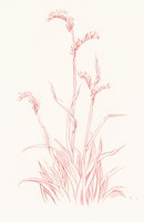 Farm Nostalgia Flowers V Fine Art Print