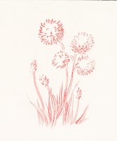 Farm Nostalgia Flowers II Fine Art Print