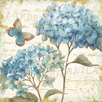 Blue Garden IV Fine Art Print
