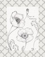 Blossom Sketches Words I Border Fine Art Print