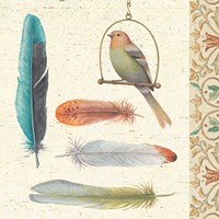 Feather Tales II Fine Art Print
