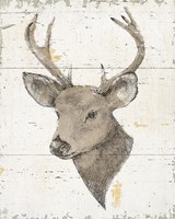 Wild and Beautiful II with Brown Fine Art Print