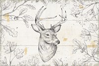 Wild and Beautiful IX Fine Art Print