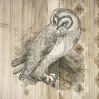 Natural History Lodge I Fine Art Print