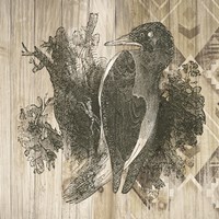 Natural History Lodge VI Framed Print