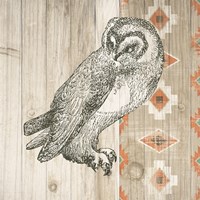 Natural History Lodge Southwest I Fine Art Print