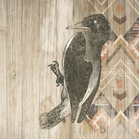 Natural History Lodge Southwest VI Fine Art Print