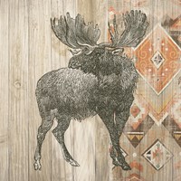 Natural History Lodge Southwest VIII Fine Art Print