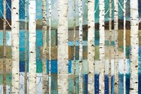 Natural World Birches Fine Art Print