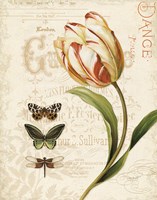 Mothers Treasure V Fine Art Print