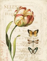 Mothers Treasure IV Fine Art Print