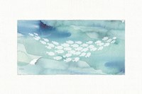 Sea Life II Fine Art Print