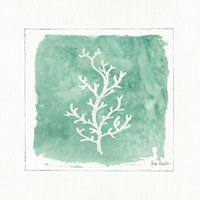 Water Coral IV Fine Art Print