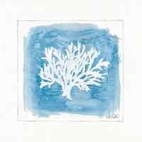 Water Coral VI Framed Print