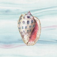 Ocean Dream VII no Filigree Fine Art Print