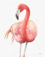 Gracefully Pink IV Fine Art Print