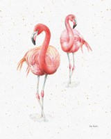 Gracefully Pink IX Fine Art Print