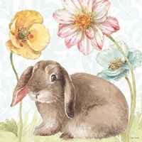 Spring Softies Bunnies III Framed Print
