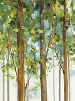 Forest Study II SPC Fine Art Print