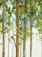 Forest Study I SPC Fine Art Print