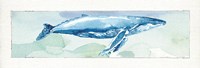 Sea Life VI Fine Art Print