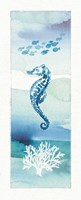 Sea Life VIII Framed Print