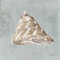 Sand and Seashells IV Framed Print