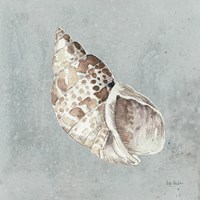 Sand and Seashells II Framed Print