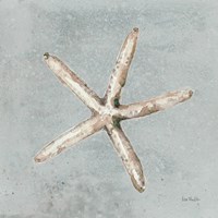 Sand and Seashells III Fine Art Print