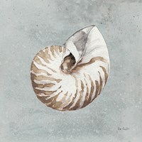 Sand and Seashells I Framed Print