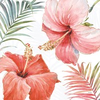 Tropical Blush III Fine Art Print