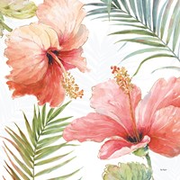 Tropical Blush II Fine Art Print