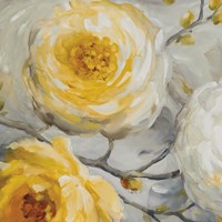 Sunshine XI Framed Print