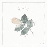 A Woodland Walk XVIII Fine Art Print