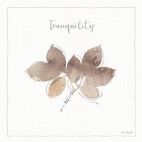 A Woodland Walk XIX Fine Art Print