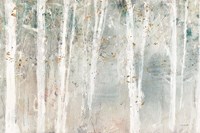 A Woodland Walk I Fine Art Print