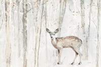 A Woodland Walk VII Fine Art Print