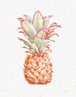 Gracefully Blush Pineapple XI Framed Print